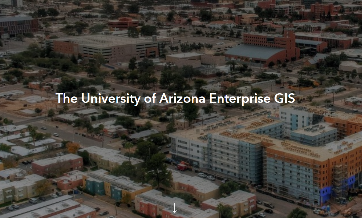 Enterprise GIS